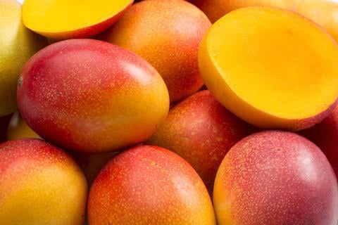 Purisaki Berberine Patches™  African Mango
