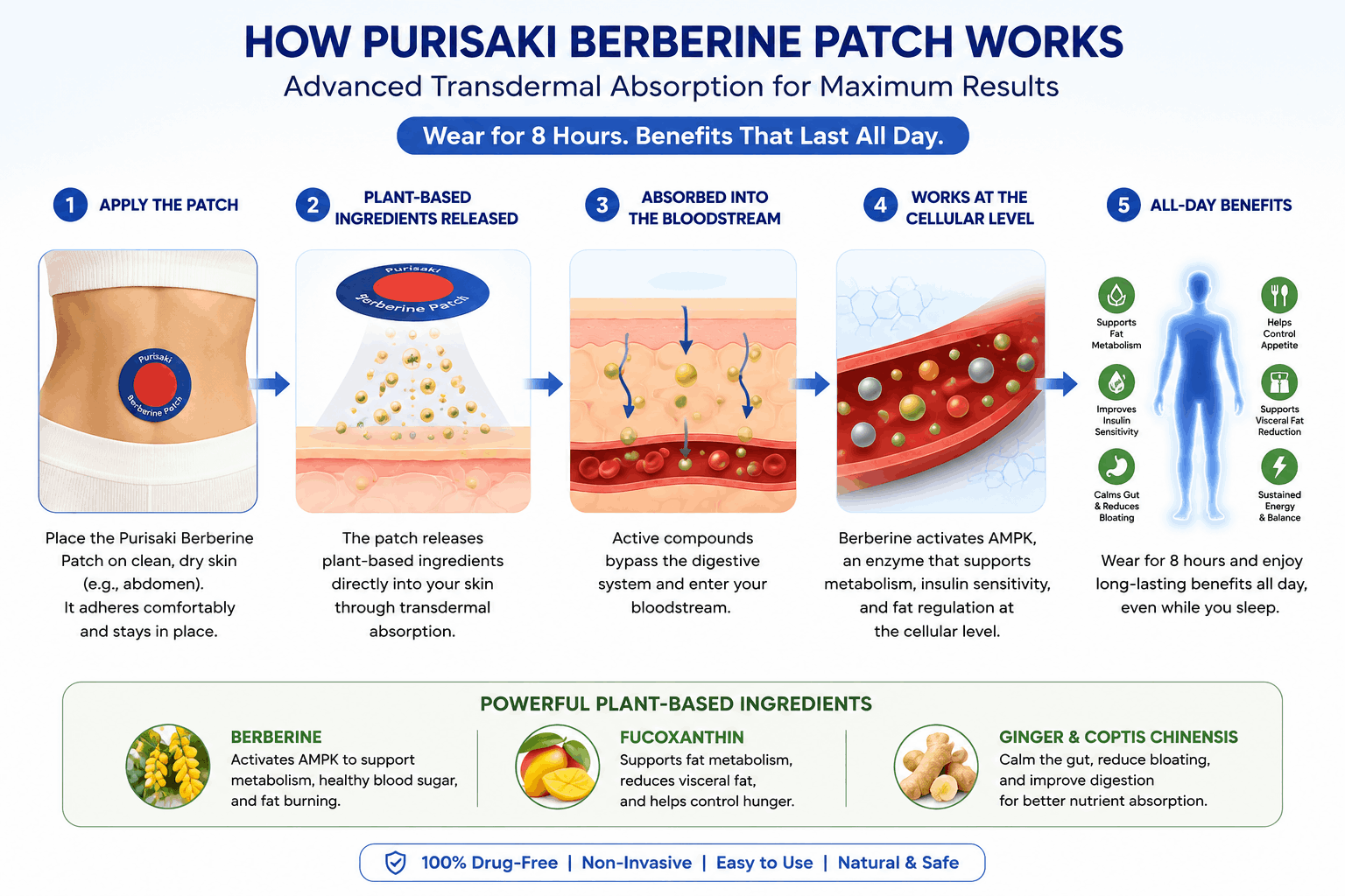 Purisaki Berberine Patches™  showing benefit of these patches